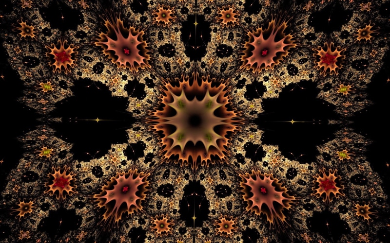 beauty in nature, symmetry, vulnerability, patterns, flower head, black, cell, 1080P, brown, geometric Shape, kaleidoscope, black Color, growth, ceiling
