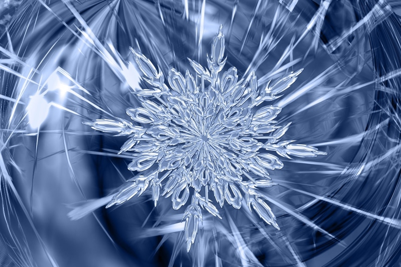 abstract, plant, form, ice crystal, cold, education, communication, snowflake, flower, glass, may refer to, science, flake, vulnerability, biology, close-up