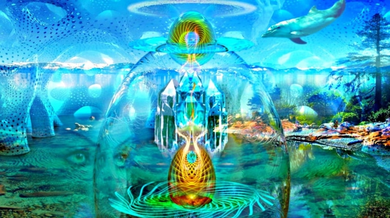 fish tank, research, glass - material, digital composite, genetic research, fish, Delfin, scientific experiment, education, underwater, animal wildlife