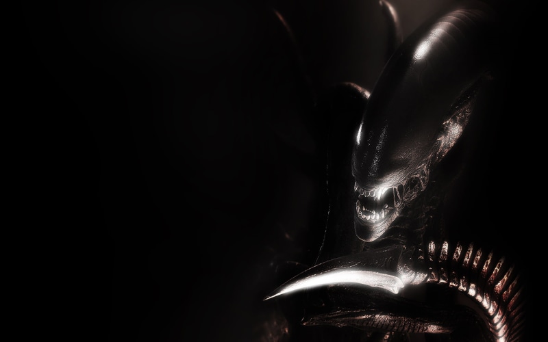 alien, 1080P, hd, black, movies, xenomorph