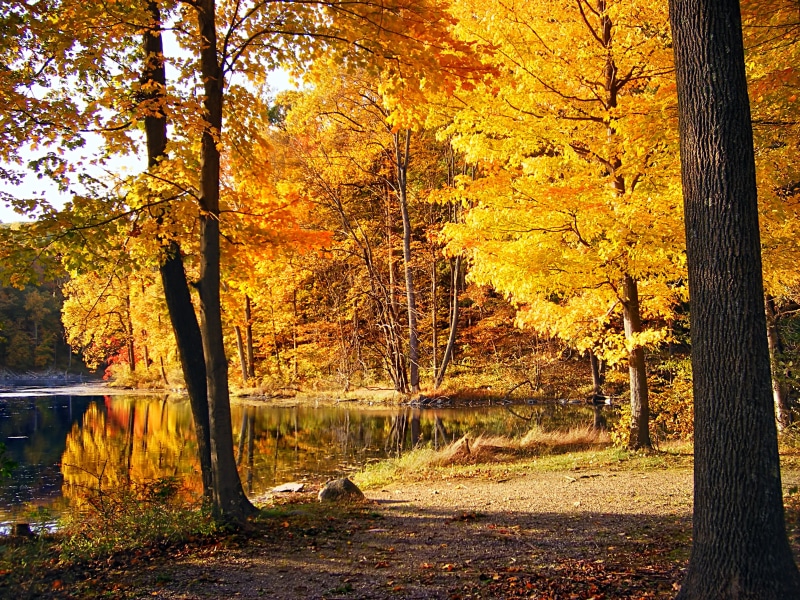 Ghost Lake, New Jersey, water, rural, park - Man Made Space, outdoors, foliage, deciduous, 2K, body, Jenny Jump Mountain, landscape, creative commons