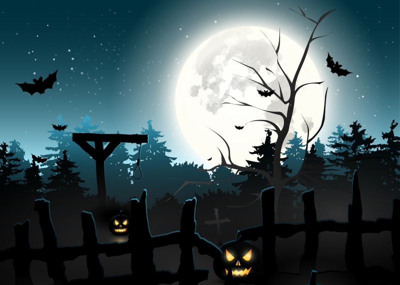 bird, grave, forest, plant, backgrounds, flying, animals in the wild, holiday, midnight, dusk, shock, season, horror, star - Space, black Color
