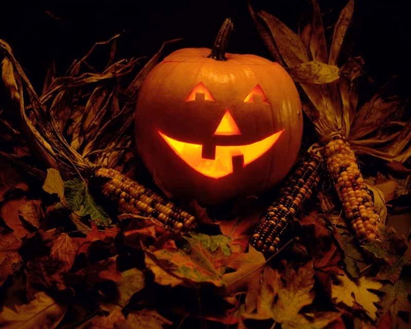 night, candle, celebration, copy Space, backgrounds, happiness, orange Color, holiday, season, attribute, horror, yellow, spooky, 720P, fear, dark, smiling