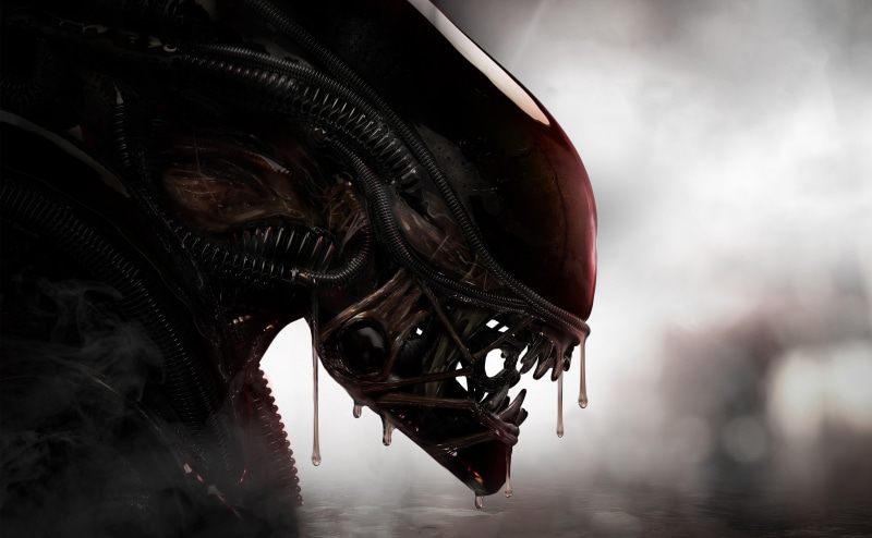 creature, Xenomorph, aliens, 4K