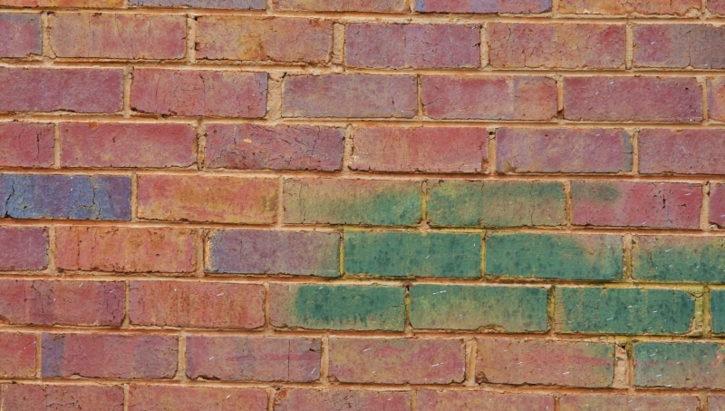 solid, green and purple, wall - Building Feature, patterns, wall, repetition, shapes, tiles, brickwork, building exterior, green, brick, pattern, baked