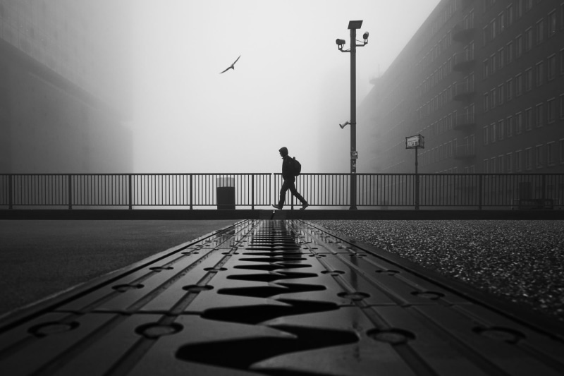 Schönberg Alexander, lantern, men, urban, 720P, monochrome, Hamburg, bridge, street, sea gulls, walking, Germany, grey, low saturation, block of flats