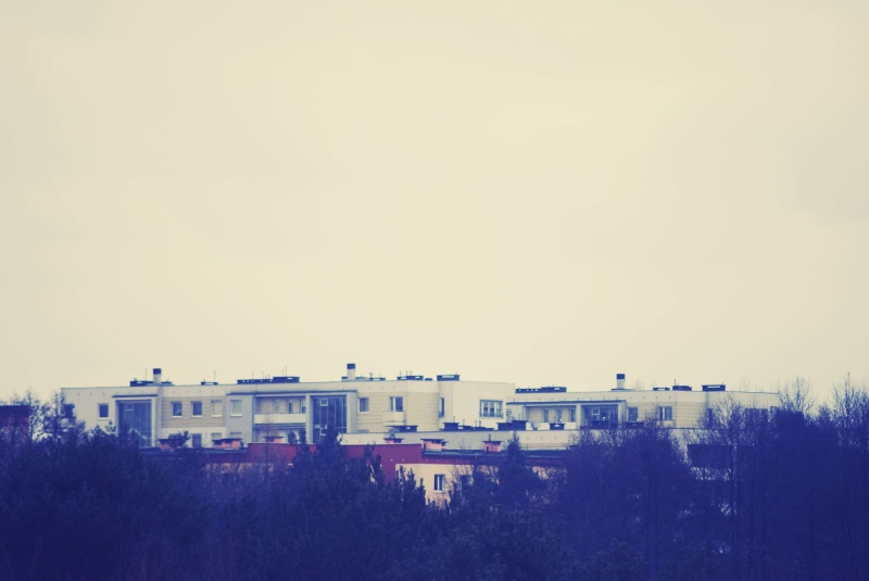 trees, day, outdoors, wood, city life, landscape, growth, no people, residential district, building, high angle view, 2K, nature, copy space, built structure