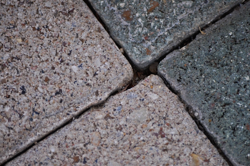 backgrounds, textures, nature, blocks, full frame, land, surfaces, rough, concrete, animal themes, stone, grounds, stones, hard, floors, animal, 4K, grey