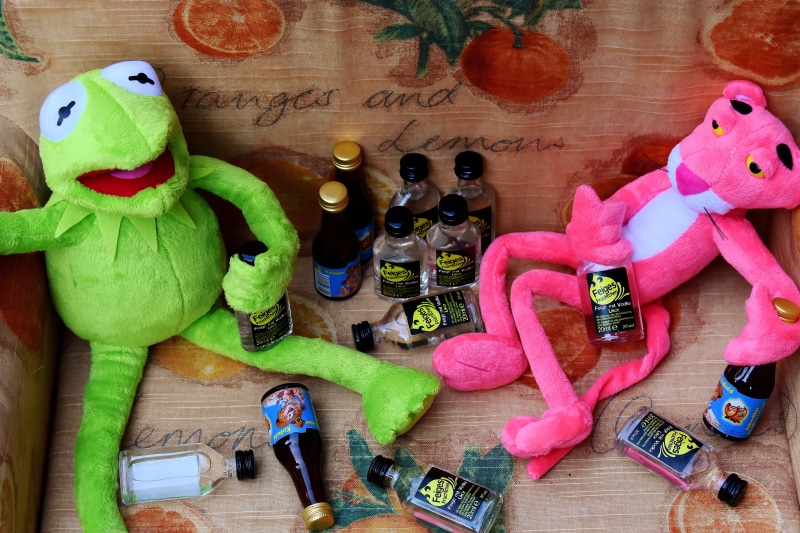 bottles, funny, 5K, large group of objects, kermitt, toys, still life, sofa, toy, panter, human representation, male likeness, indoors, friends, creativity