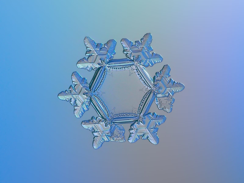 decorated, blue, details, unique, sparkle, photography, outdoor, season, background, beauty, decoration, fine, decor, snow, pattern, isolated, crystalline