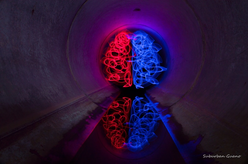 brain, lights, illuminated, light, architecture, nature, 5K, complexity, shape, inside, tunnel, red, full frame, no people, blue, biology, close-up
