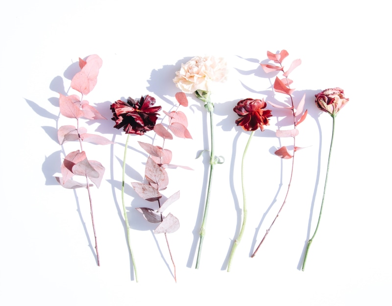 flat lay, flower head, fragility, minimal, no people, flatlay, shadow, freshness, hue, table, petaled, leaves, interior design, studio shot, inflorescence