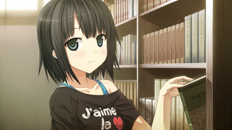 Monobeno, haired, shelf, publication, portrait, young adult, anime girls, young women, front view, leisure activity, visual novel, black, women, anime