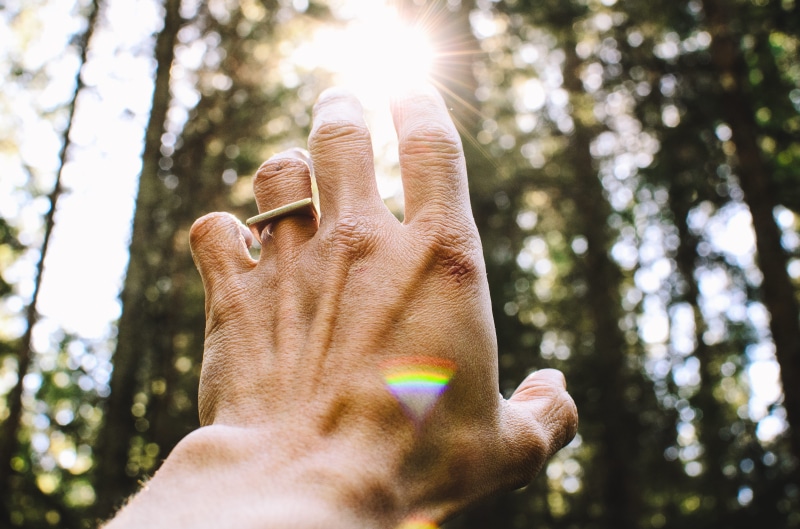 caucasian Ethnicity, prism, lifestyles, hand, tree, land, people, lens flare, person, s, men, one man only, human Hand, reaching out, forest, plant, sun