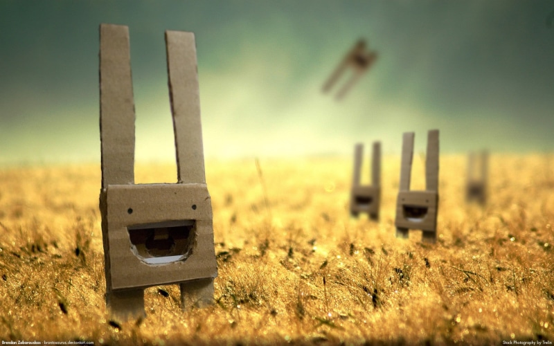 close-up, happy face, 1080P, grass, characters, no people, old, land, boundary, nature, wood - material, landscape, cardboard, protection, field, in a row