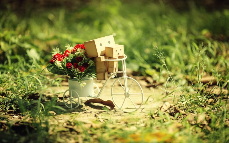 field, nature, bicycle, danboard, sunlight, white, outdoors, land, small, toy, grass, springtime, table, green Color, bouquet, day, cardboard robots, freshness