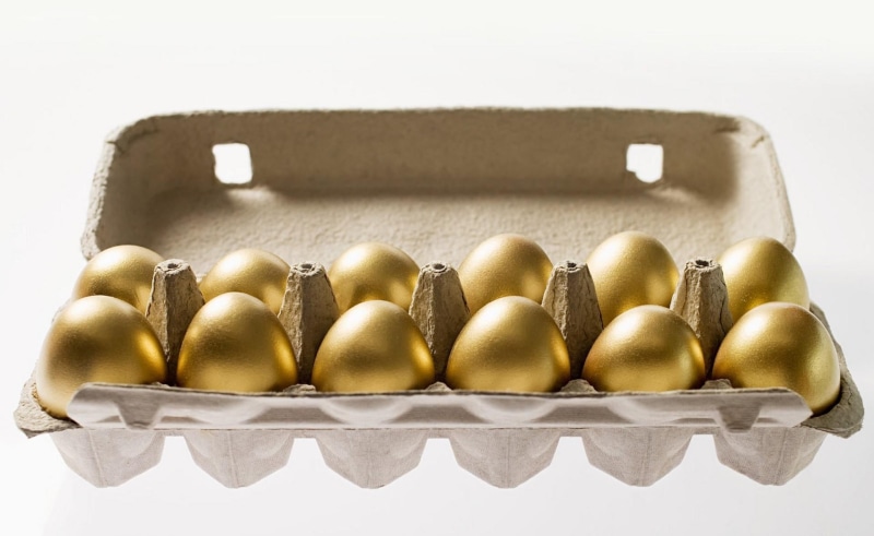 freshness, no People, studio shot, group of Objects, standing out from the crowd, luxury, animal Egg, breakfast, organic, close-up, indoors, large group of objects