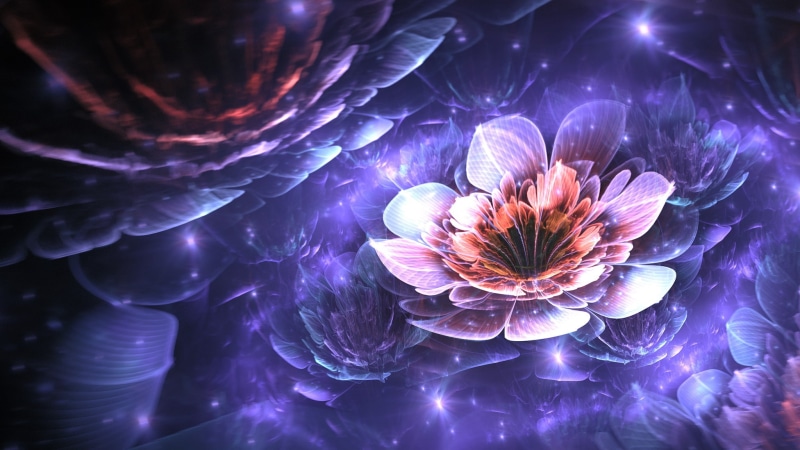 digital art, 1080P, Apophysis, flowers, 3D, abstract, fractal flowers, fractal