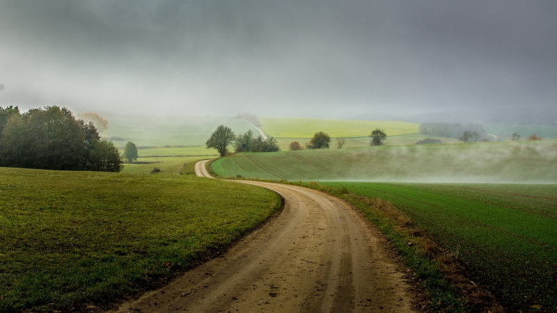 plant, the way forward, landscape, land, road, scenics - nature, no people, tranquil scene, tranquility, fog, 4K, countryside, environment, dirt road