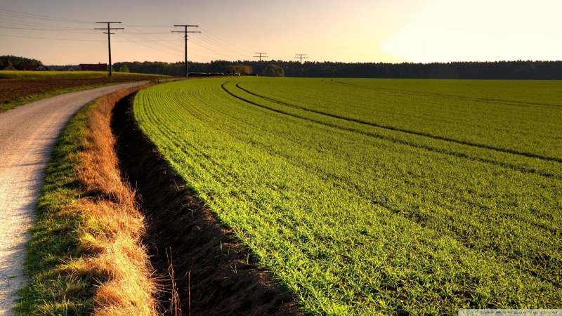 road, fields, electric poles, rural, sundown, nature and landscapes, 1080P, sunset