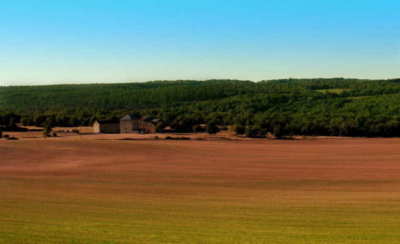 vineyard, tranquility, south, view, horizon, provencal, agriculture, field, landscape, home, destinations, europe, summer, architecture, grass, tourism