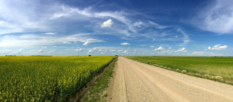 saskatchewan, field, outdoors, road, green color, outdoor, rural scene, cloud - sky, nature, landscape, agriculture, dirt, countryside, watrous, beauty in nature