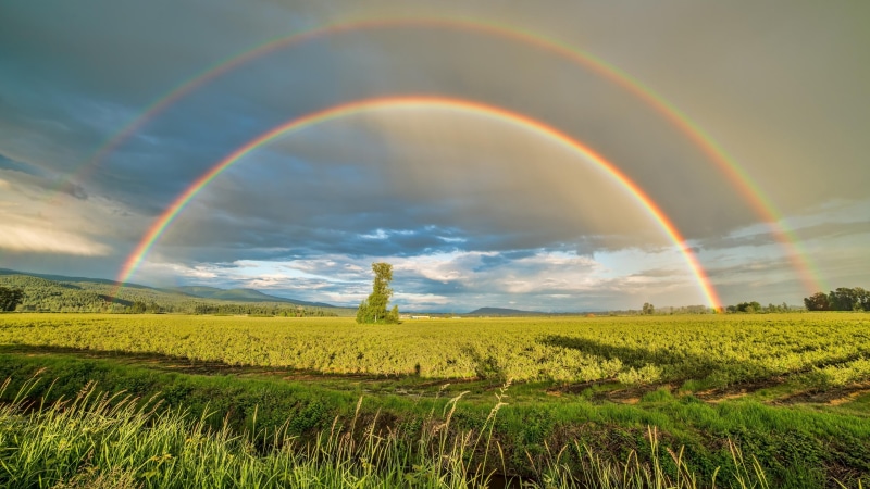 countryside, meteorological phenomenon, rainbow, plain, field, grassland, crop, sky, 4K, landscape, sunlight, double rainbow, grass, rural area