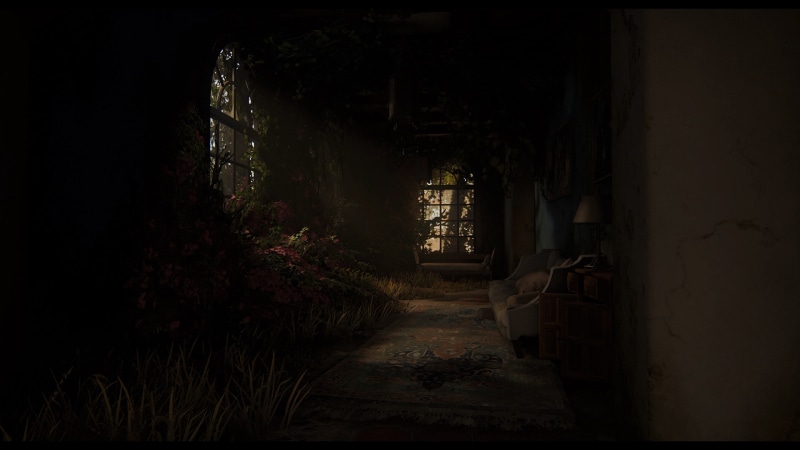 4K, Naughty Dog, The Last of Us 2