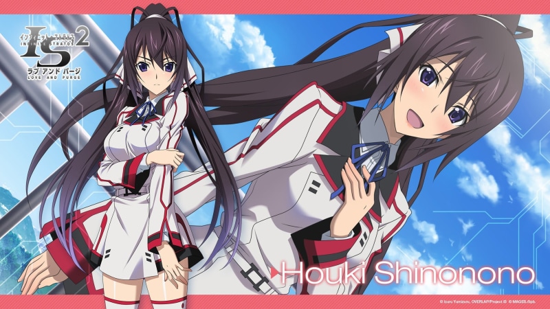 1080P, low angle view, sign, no people, communication, Infinite Stratos, ponytail, Shinonono Houki, male likeness, nature, text, cloud - sky, long hair