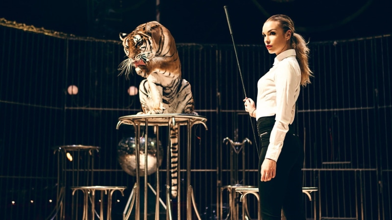 red lipstick, cages, performance, women, wild cat, whips, training, ponytail, stage, performing arts event, females, circus, animals, arts culture and entertainment