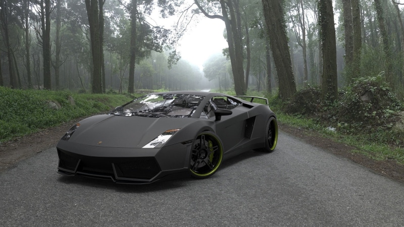 forest, mode of transportation, car, transportation, tree, plant, Lamborghini, fog, day, nature, supercar, road trip, trunk, land vehicle, black, stationary