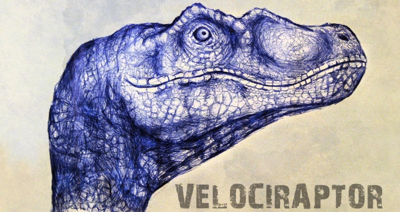 veloci, paper, wall, velociraptor, animals, raptor, 1080P