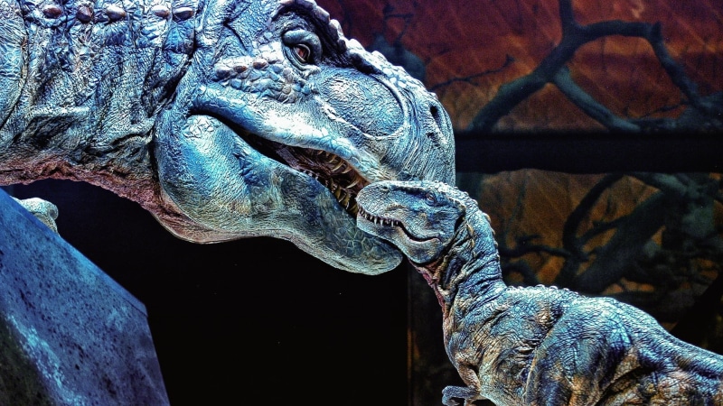 velociraptor, dinosaur, sculpture, tyrannosaurus rex, statue, animal body part, no people, animal head, animal wildlife, low angle view, craft, tyrannosaurus