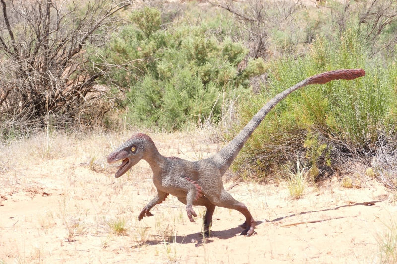 plant, ancient, paleontology, dino, feather, day, arid climate, tree, triassic, utah, animals in the wild, full length, sunlight, one animal, dinosaur