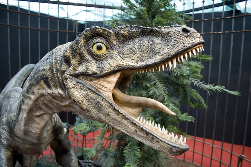 4K, Dinosaur, cage, Raptors, animal themes, focus on foreground, outdoors, Dinos, no people, animal wildlife, mouth open, animals in captivity, day, plant