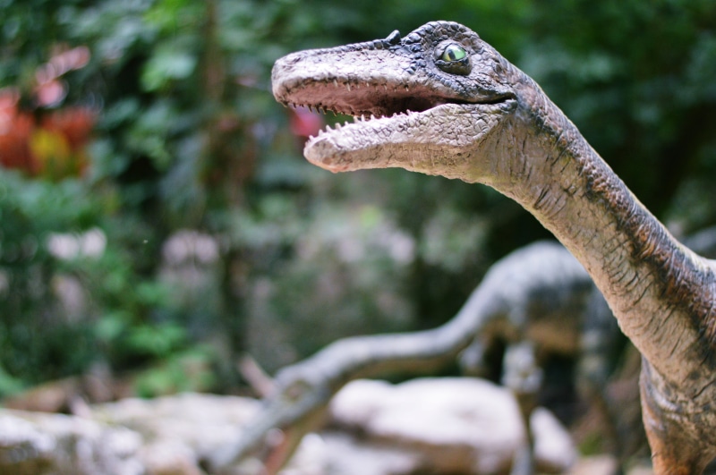 dinosaur, plant, animal body part, animal, animal themes, focus on foreground, zoo, dinopark, one animal, bratislava, day, animal mouth, extinct, tree