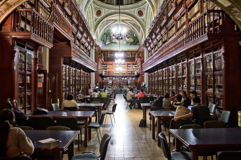in a row, studying, real people, chair, architecture, 5K, bookshelf, book, learning, shelves, interior, group of people, people, shelf, sitting, table