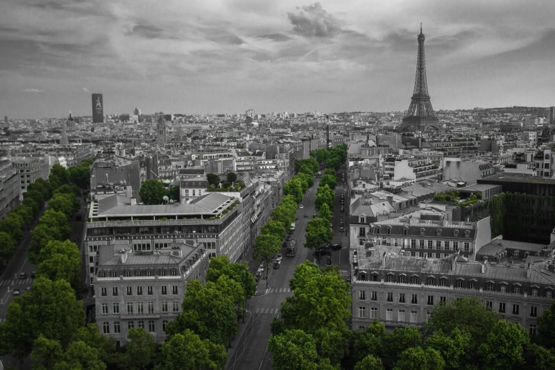 travel, no people, tree, black and white, buildings, 5K, town, sky, tower, architecture, building, trees, travel destinations, cityscape, cloud - sky