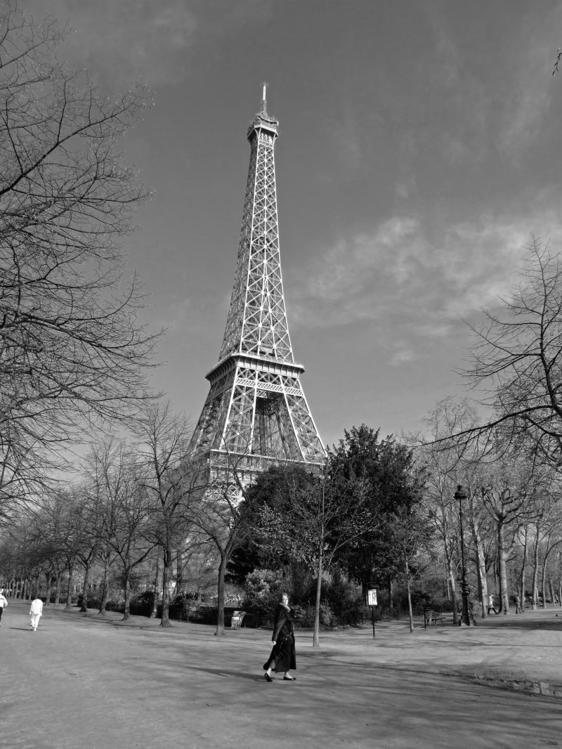 travel, architecture, nature, sky, 2K, monument, outdoors, plant, historical, day, bare tree, paris - France, tall - high, france, famous, Landmark, Eiffel Tower