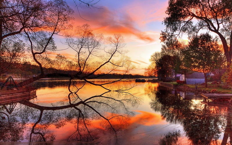 eclipse, tree, reflection, lake, beach, night, 4K, sunset, red, clouds, landscape