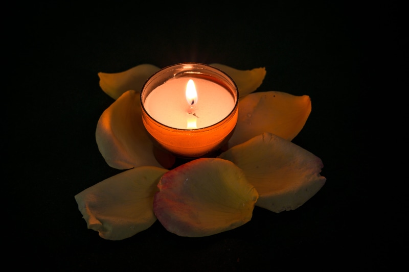 votive, orange, luxury, floating on water, fire - natural phenomenon, flower, hot, romantic, burn, candle, jesus, dark, burning, rose petals, fire, 5K