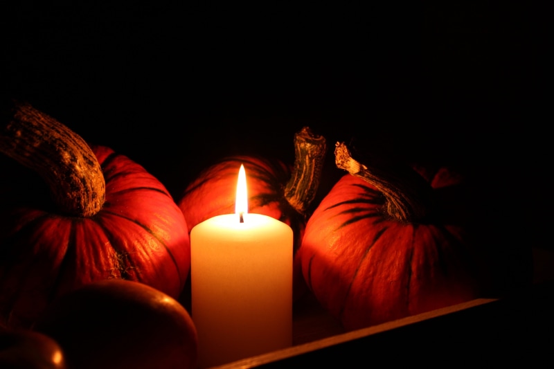 copy space, candle, evening, darkroom, close-up, burning, orange color, pumpkins, glowing, halloween, fire, lighted, domestic room, luminosity, still life