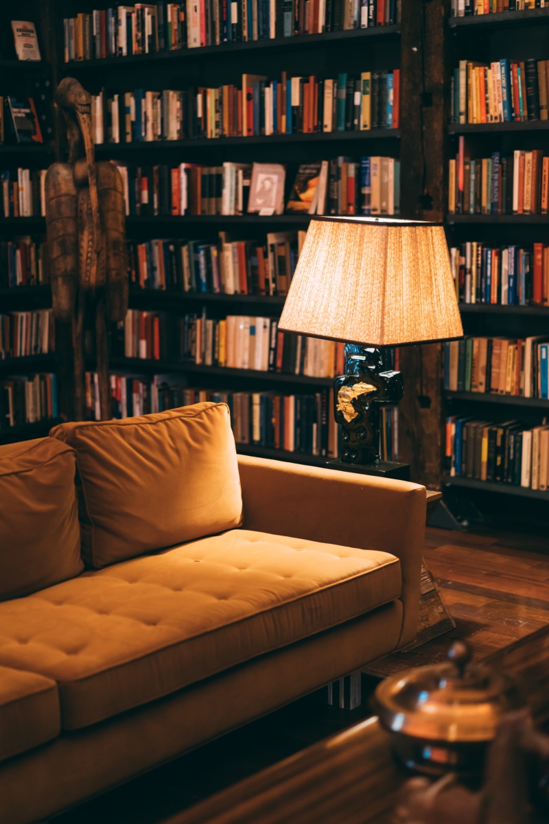 modern, furniture, indoors, antique, publication, library, shelf, book shelves, bookshelves, literature, near, electric lamp, room, stuffed, bookshelf