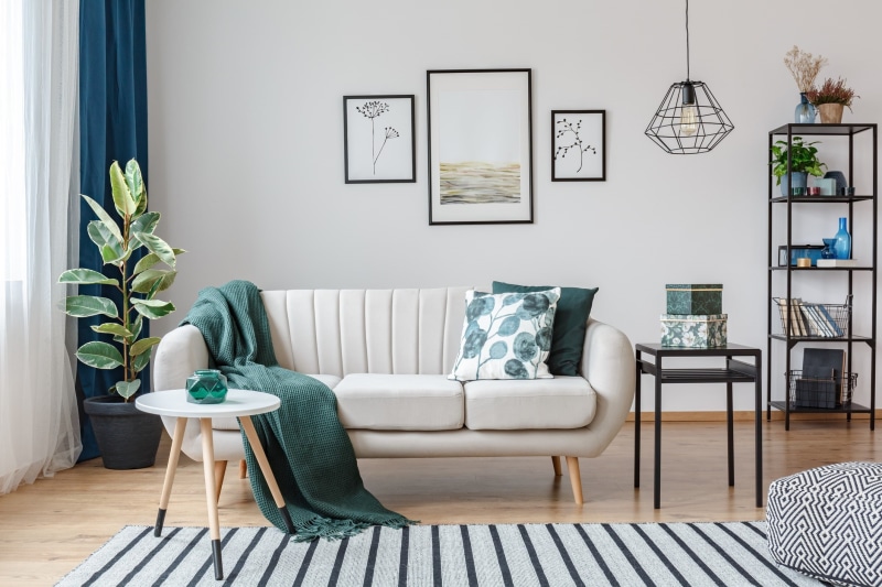 interior, carpet, 1080P, fabric, chandelier, pictures, frame, loft, plant, sofa