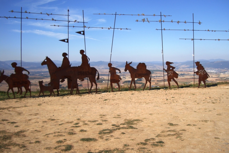mammal, animal wildlife, day, domestic animals, livestock, horse, nature, group of people, cloud - sky, men, group of animals, camino de santiago de compostela
