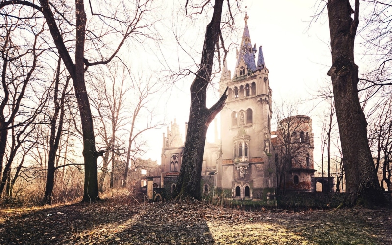 belief, branch, sky, near, old building, built structure, trees, tree trunk, Gothic architecture, history, old, day, architecture, religion, no people