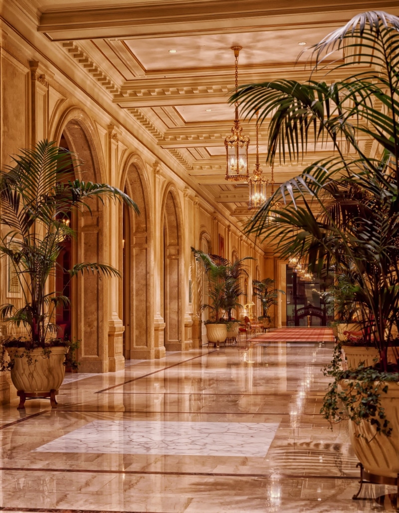 lamp, hdr, tropical climate, travel destinations, the past, lobby, plants, arch, plant, lighting, luxury, architecture, building, history, wealth, indoors