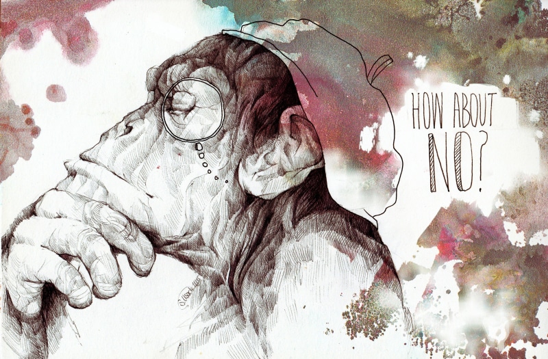 questions, one person, creativity, wall - building feature, close-up, monkey, nature, day, human representation, graffiti, watercolor, 2K, lifestyles
