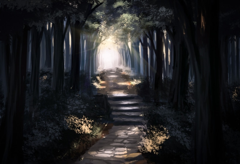 nature, the way forward, water, landscape, forest, sunlight, concrete, trees, plant, diminishing perspective, architecture, path, day, 1080P, tranquility