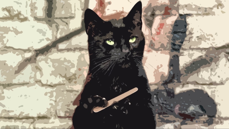 whisker, looking at camera, portrait, humor, one animal, animal body part, no people, 1080P, pets, domestic, animals, indoors, painting, mammal, vertebrate